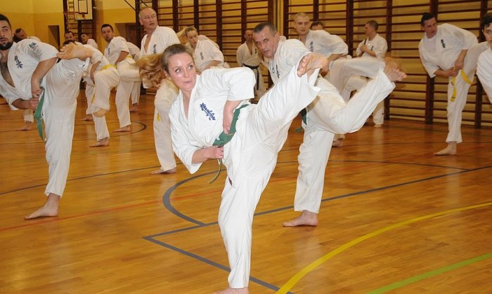 Egzaminy na stopnie szkoleniowe&nbsp;kyu