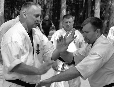 bunkai kyokushin kata