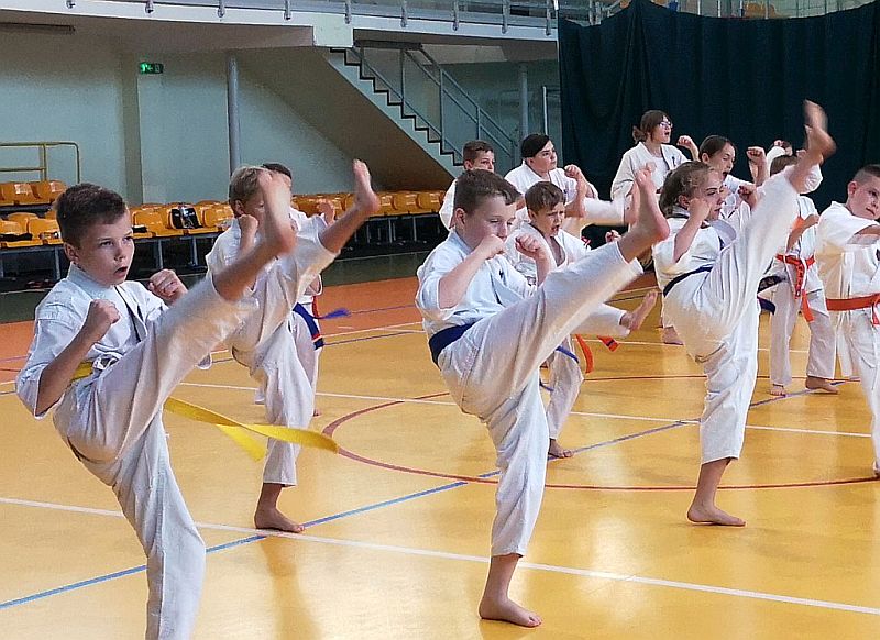 Letnia Szkoła Karate